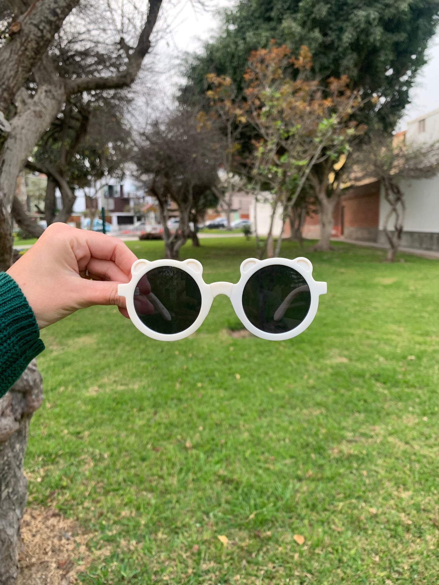 Lentes osito de colores