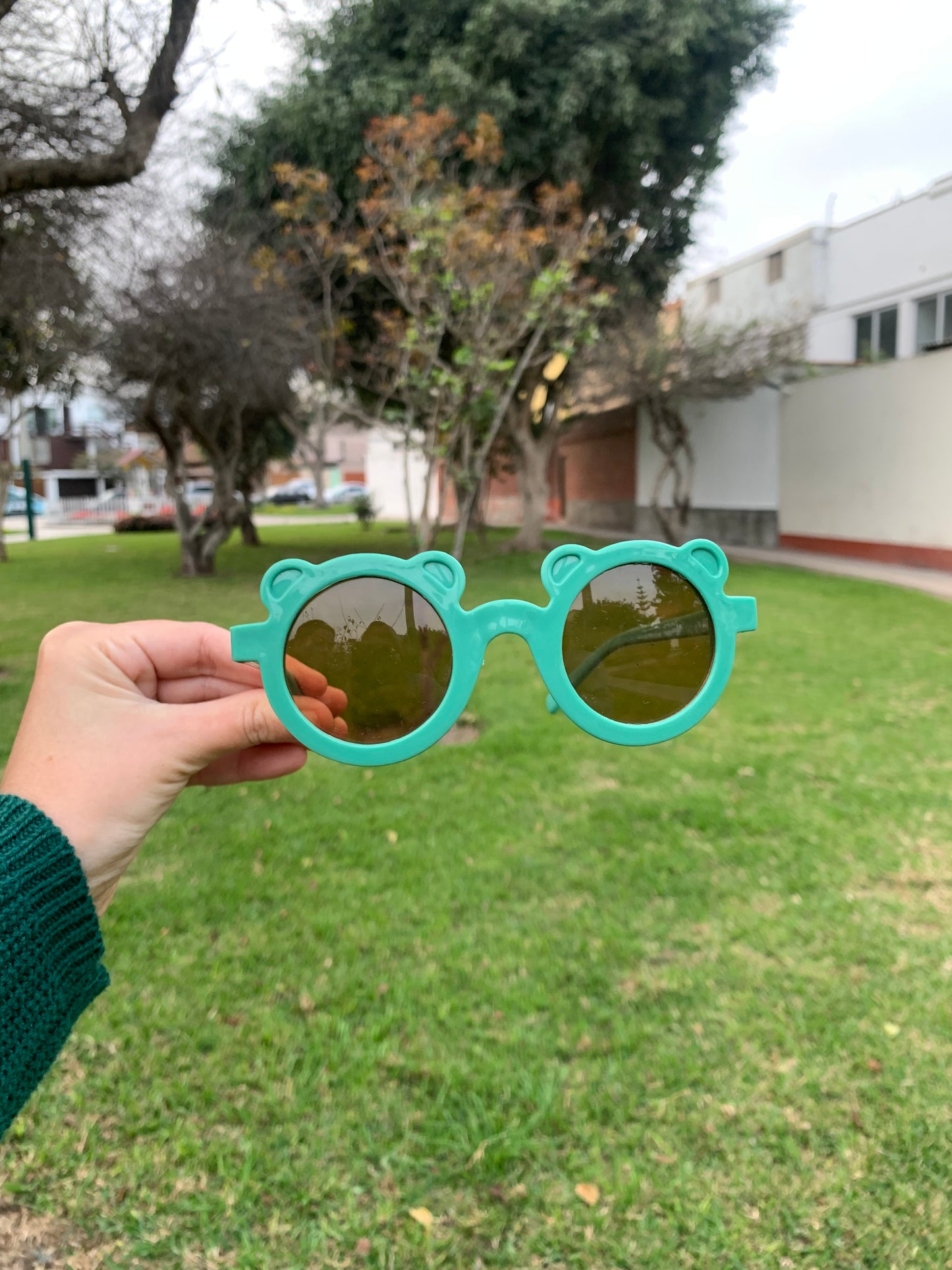 Lentes osito de colores