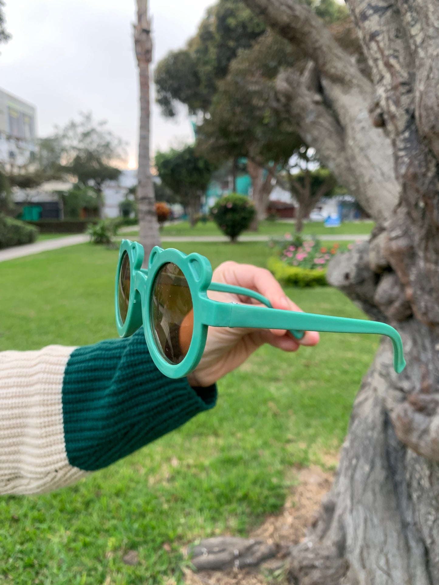 Lentes osito de colores